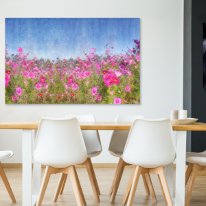 Cosmos Flower Field- Flower art