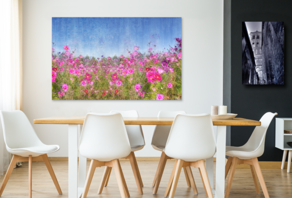 Cosmos Flower Field- Flower art